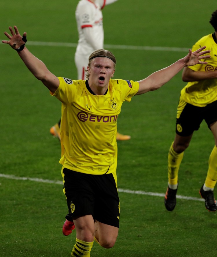 更是意志与 更是意志与